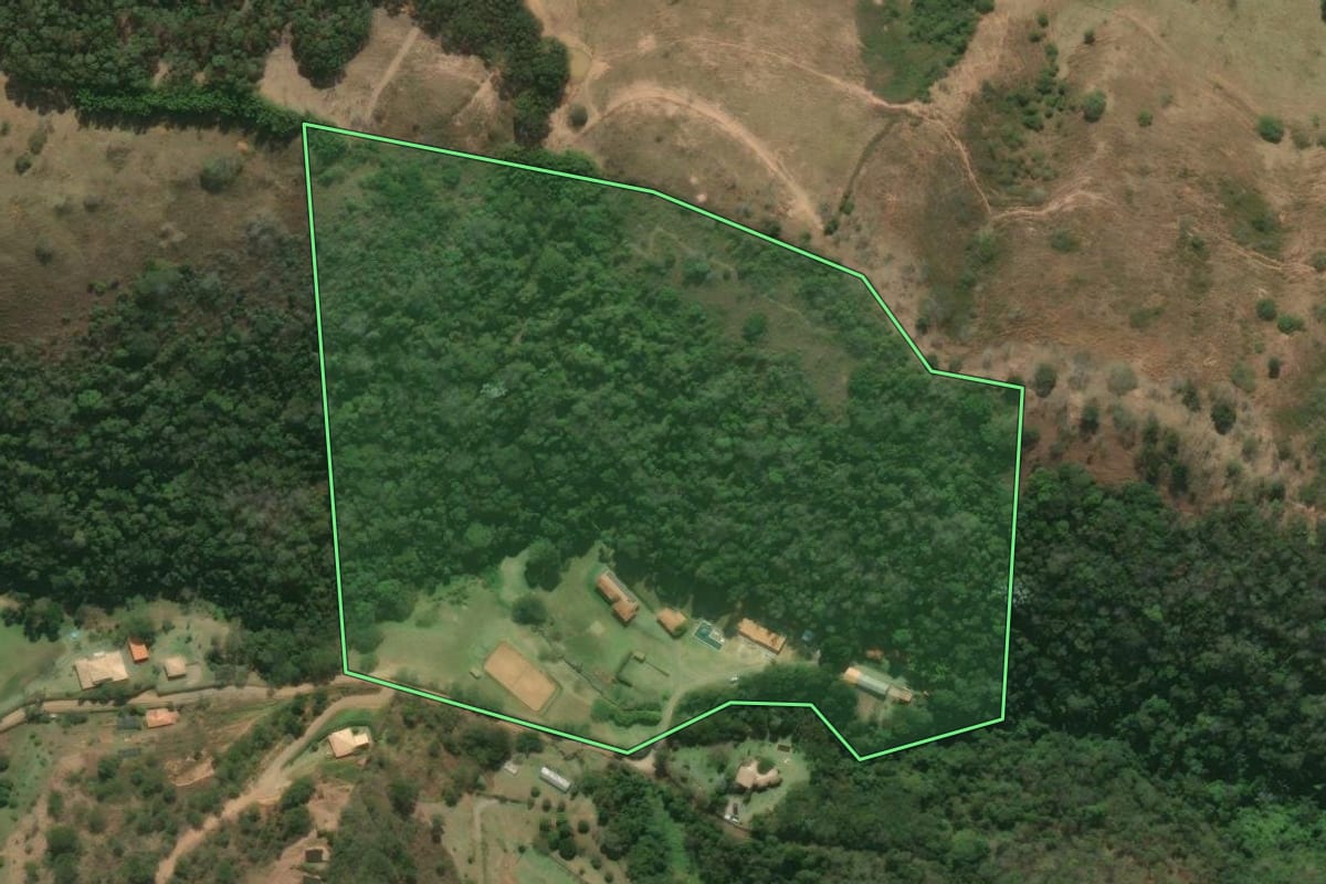 Imagem de satélite do imóvel rural em Petrópolis (RJ), com o contorno declarado no CAR desenhado por cima.