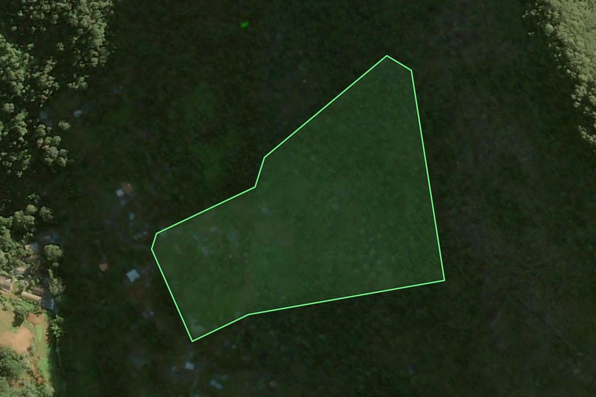 Imagem de satélite do imóvel rural em Petrópolis (RJ), com o contorno declarado no CAR desenhado por cima.