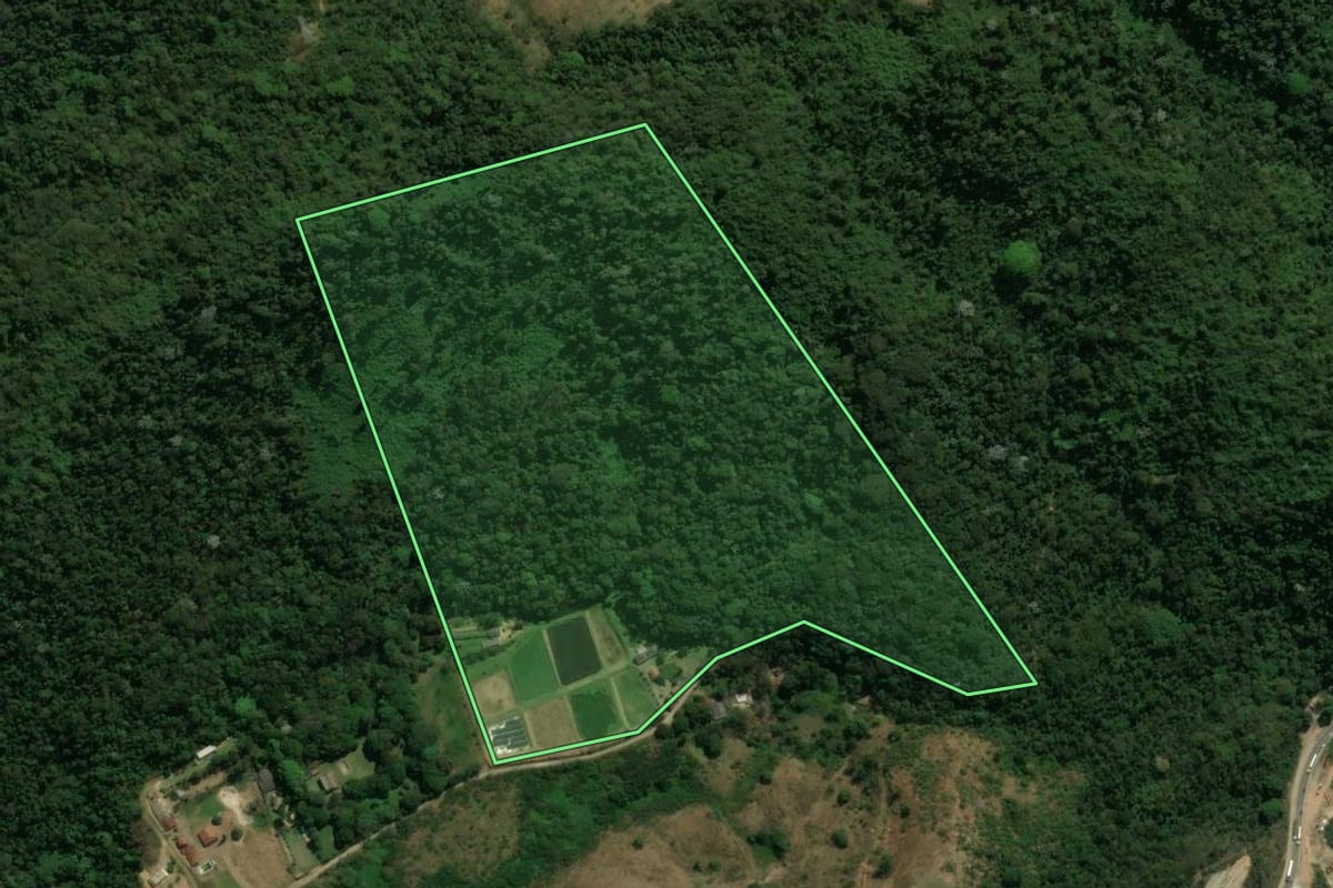 Imagem de satélite do imóvel rural em Piraí (RJ), com o contorno declarado no CAR desenhado por cima.