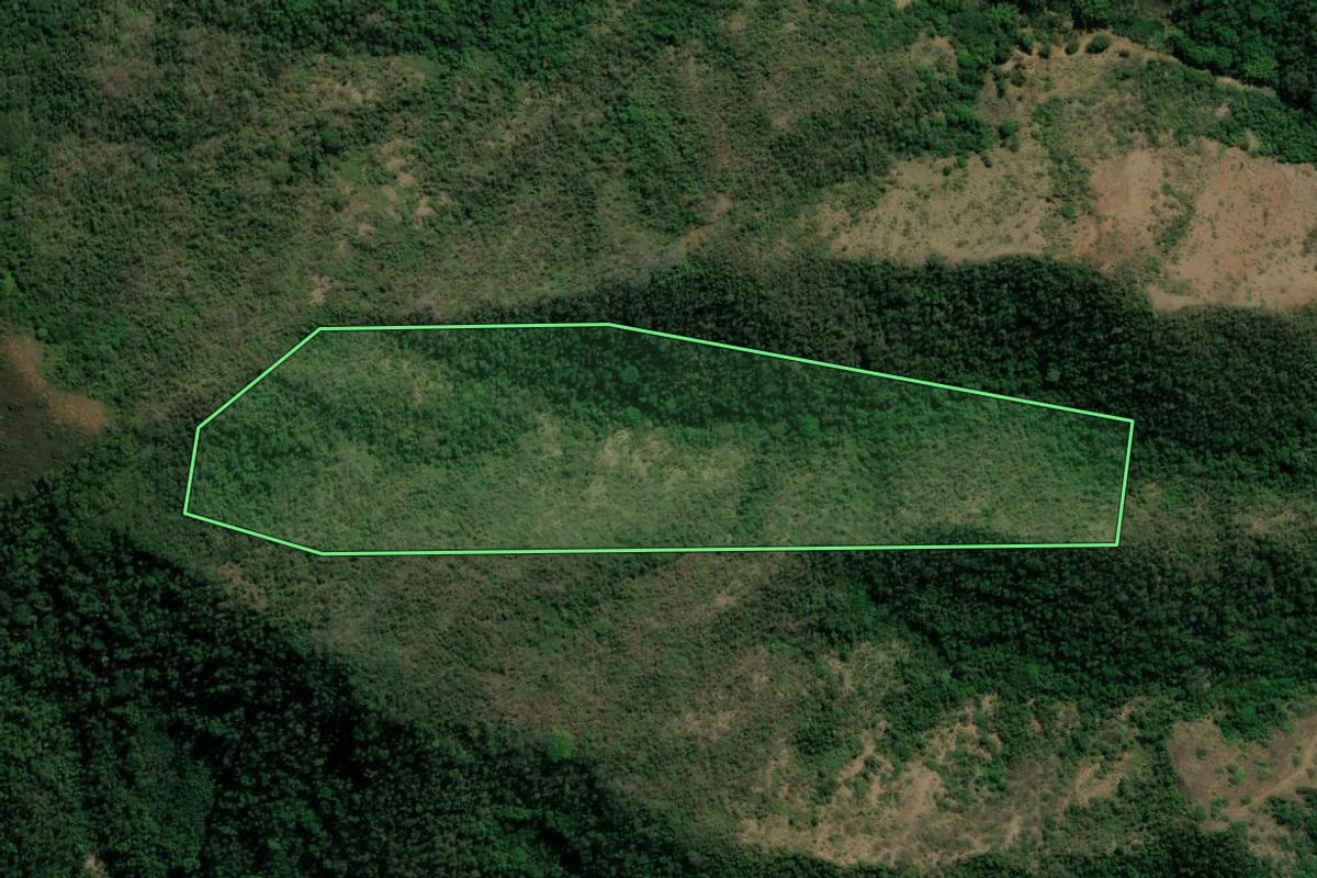 Imagem de satélite do imóvel rural em Piraí (RJ), com o contorno declarado no CAR desenhado por cima.