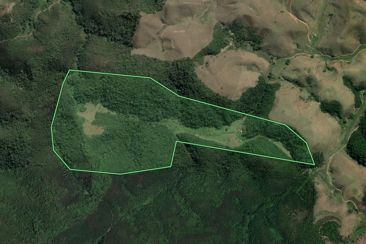 Imagem de satélite do imóvel rural em Piraí (RJ), com o contorno declarado no CAR desenhado por cima.