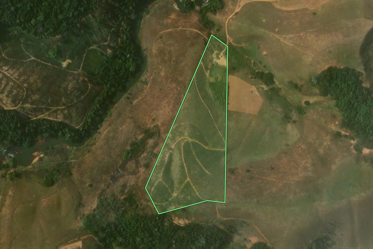 Imagem de satélite do imóvel rural em Porciúncula (RJ), com o contorno declarado no CAR desenhado por cima.