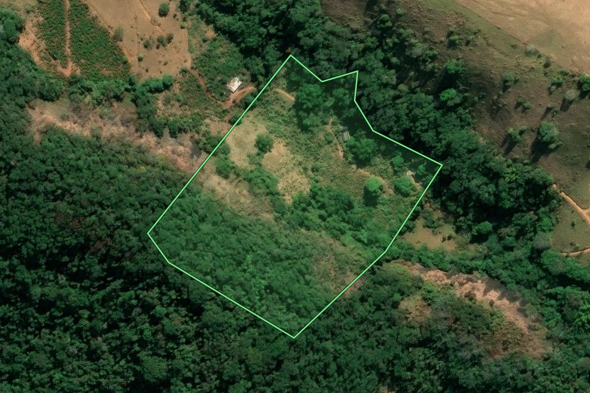 Imagem de satélite do imóvel rural em Porciúncula (RJ), com o contorno declarado no CAR desenhado por cima.