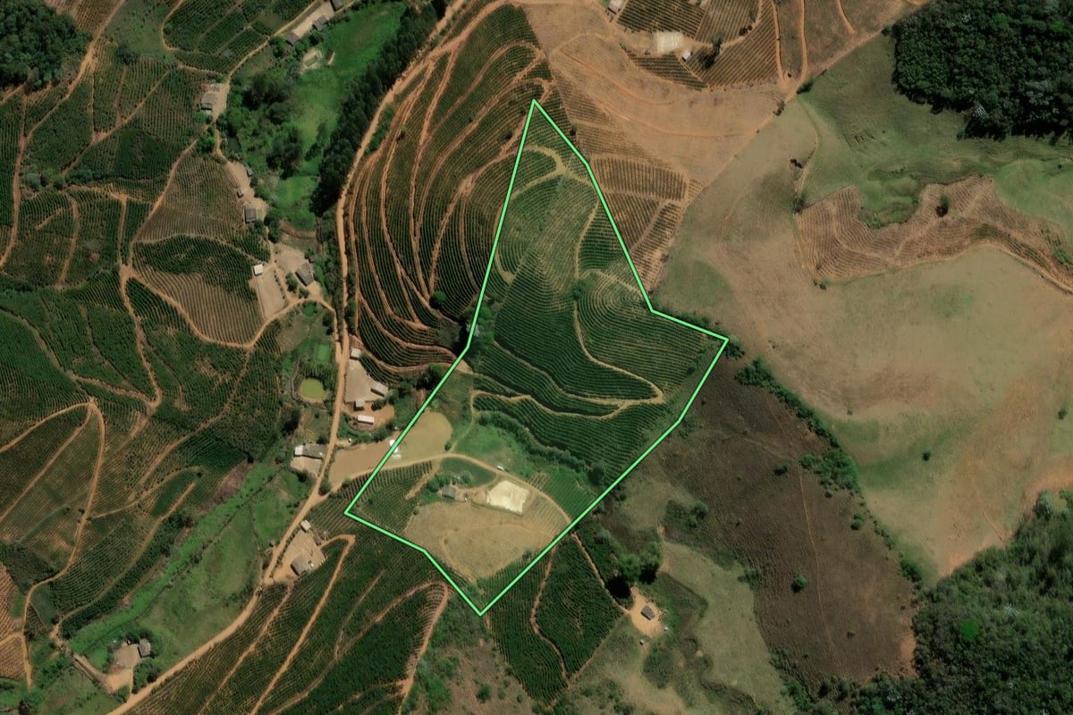 Imagem de satélite do imóvel rural em Porciúncula (RJ), com o contorno declarado no CAR desenhado por cima.