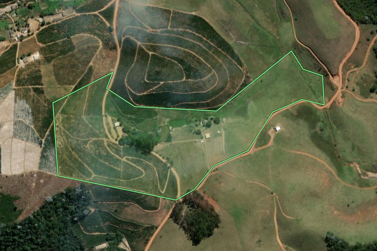 Imagem de satélite do imóvel rural em Porciúncula (RJ), com o contorno declarado no CAR desenhado por cima.