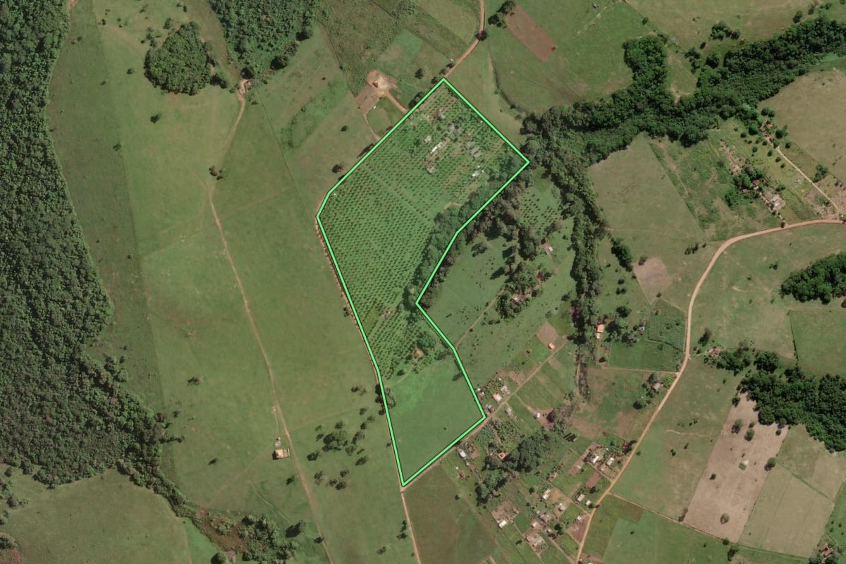 Imagem de satélite do imóvel rural em Quissamã (RJ), com o contorno declarado no CAR desenhado por cima.
