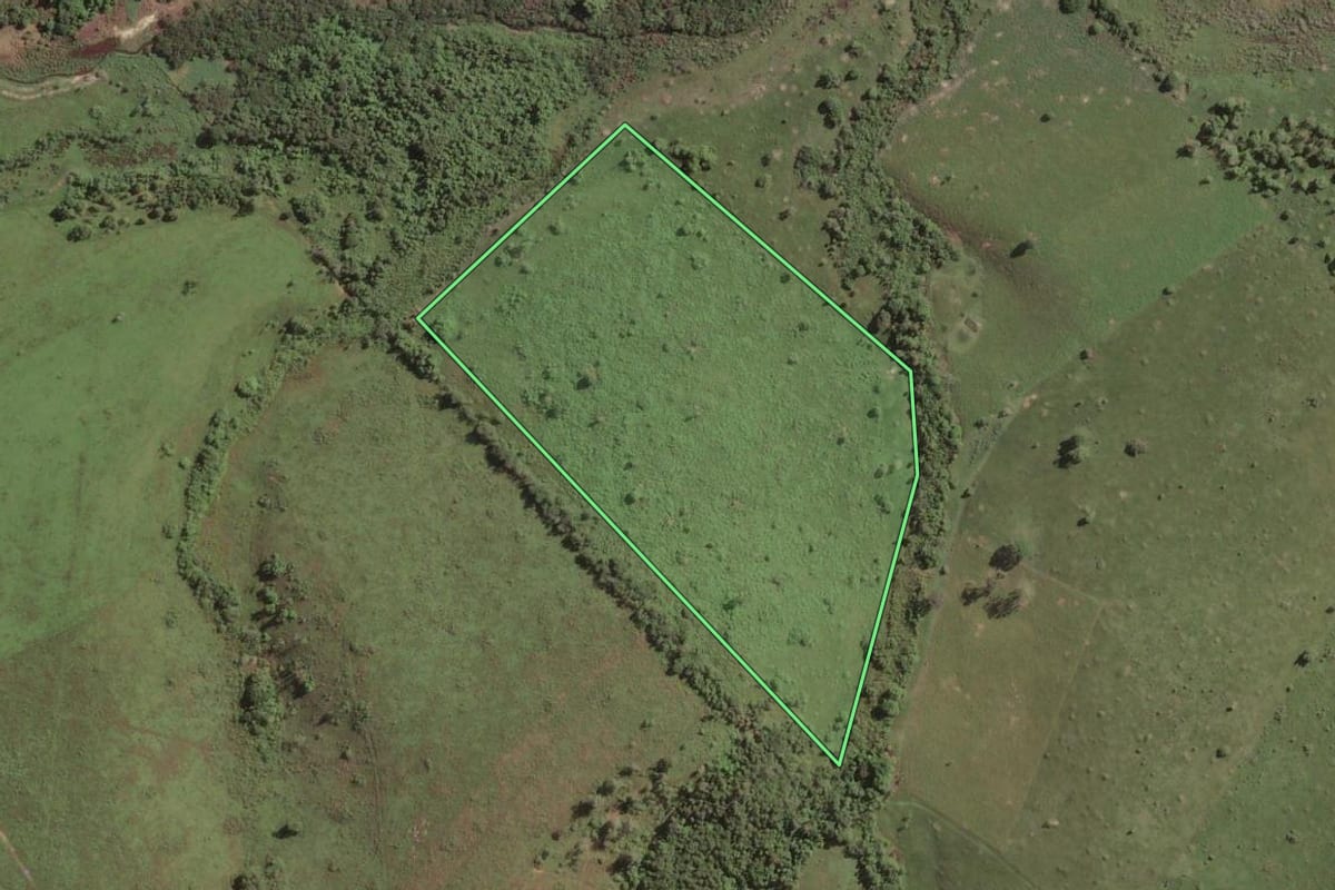 Imagem de satélite do imóvel rural em Quissamã (RJ), com o contorno declarado no CAR desenhado por cima.