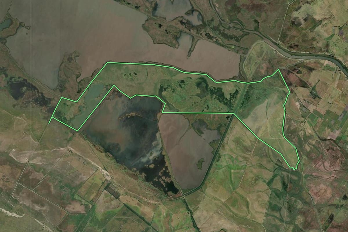 Imagem de satélite do imóvel rural em Quissamã (RJ), com o contorno declarado no CAR desenhado por cima.
