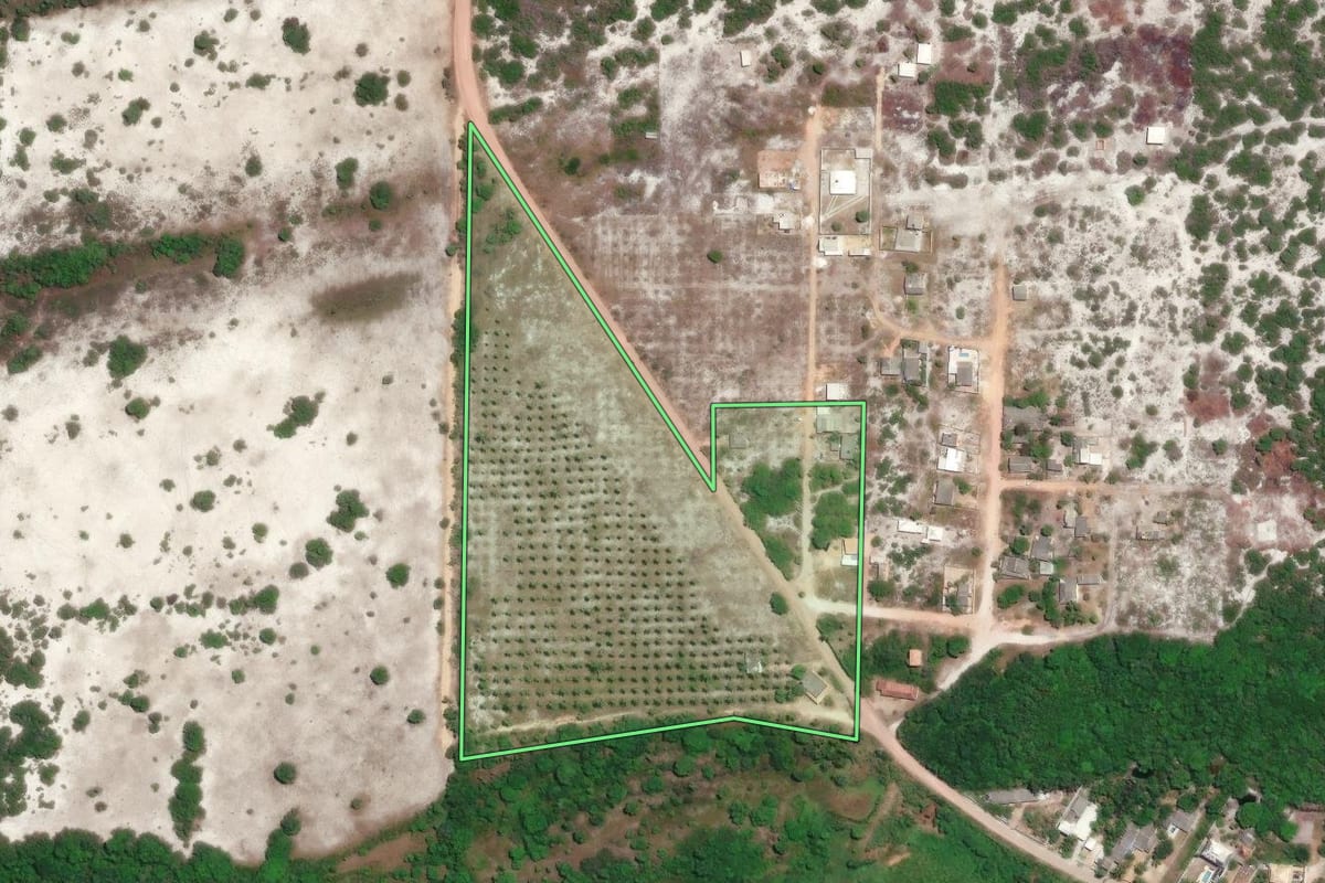 Imagem de satélite do imóvel rural em Quissamã (RJ), com o contorno declarado no CAR desenhado por cima.