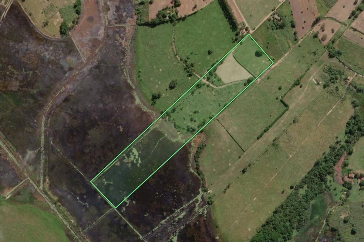 Imagem de satélite do imóvel rural em Quissamã (RJ), com o contorno declarado no CAR desenhado por cima.