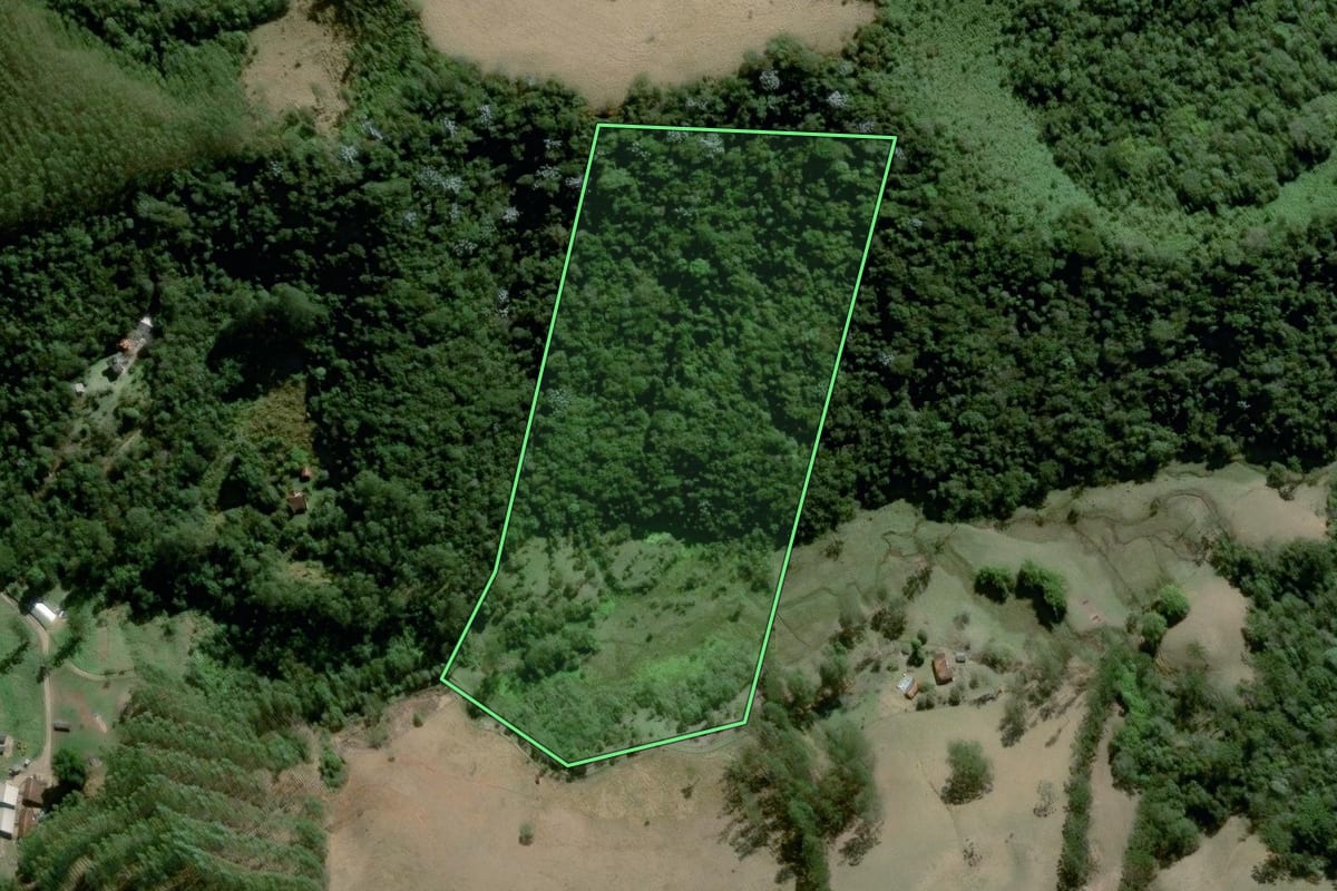 Imagem de satélite do imóvel rural em Resende (RJ), com o contorno declarado no CAR desenhado por cima.
