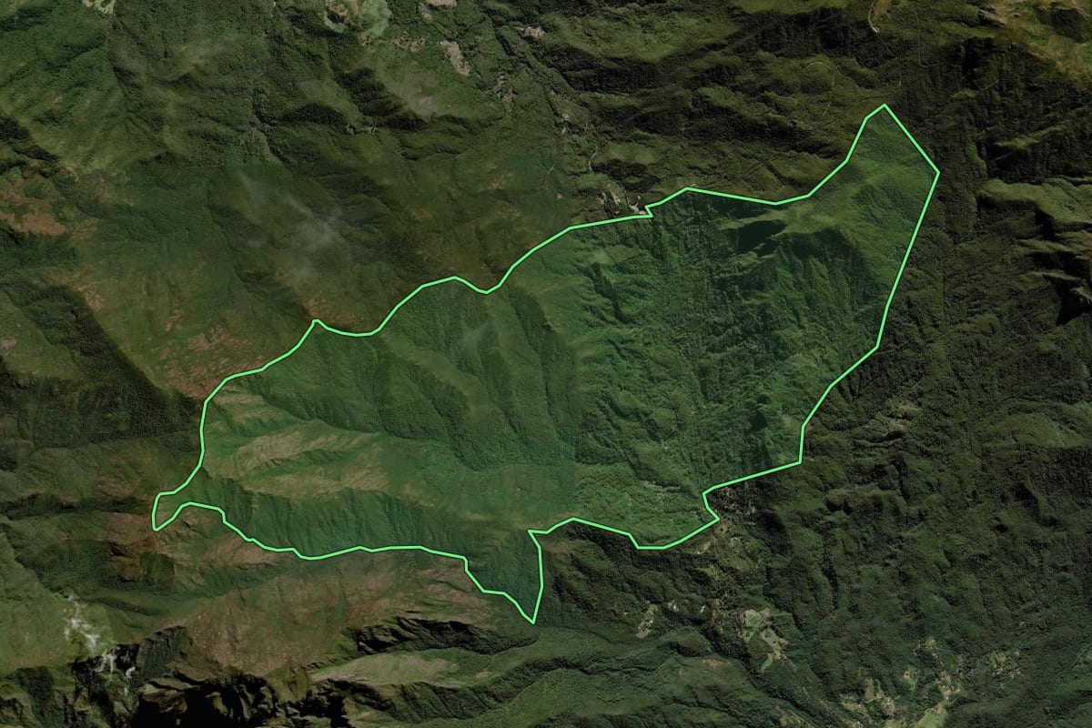 Imagem de satélite do imóvel rural em Resende (RJ), com o contorno declarado no CAR desenhado por cima.