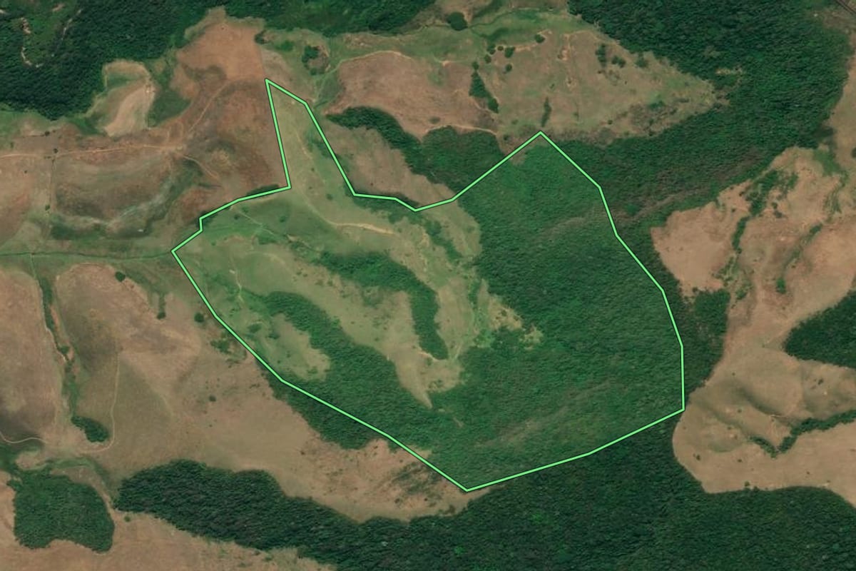 Imagem de satélite do imóvel rural em Resende (RJ), com o contorno declarado no CAR desenhado por cima.