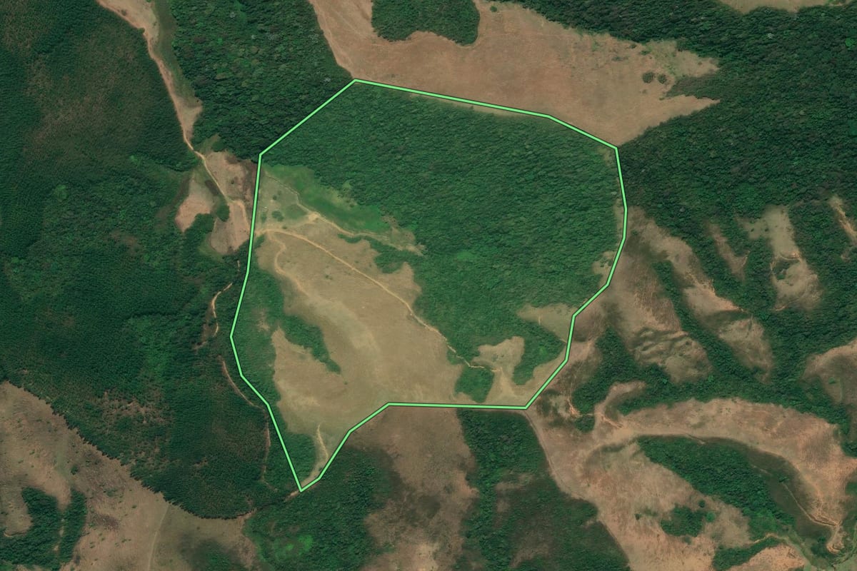 Imagem de satélite do imóvel rural em Resende (RJ), com o contorno declarado no CAR desenhado por cima.