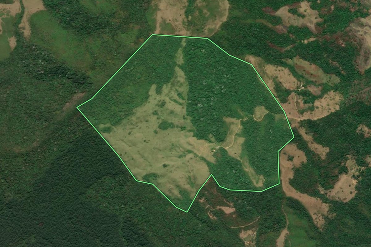 Imagem de satélite do imóvel rural em Resende (RJ), com o contorno declarado no CAR desenhado por cima.