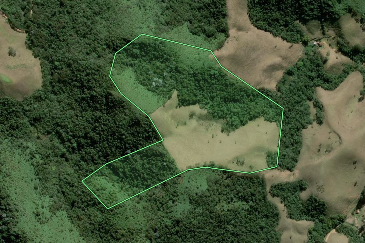 Imagem de satélite do imóvel rural em Resende (RJ), com o contorno declarado no CAR desenhado por cima.