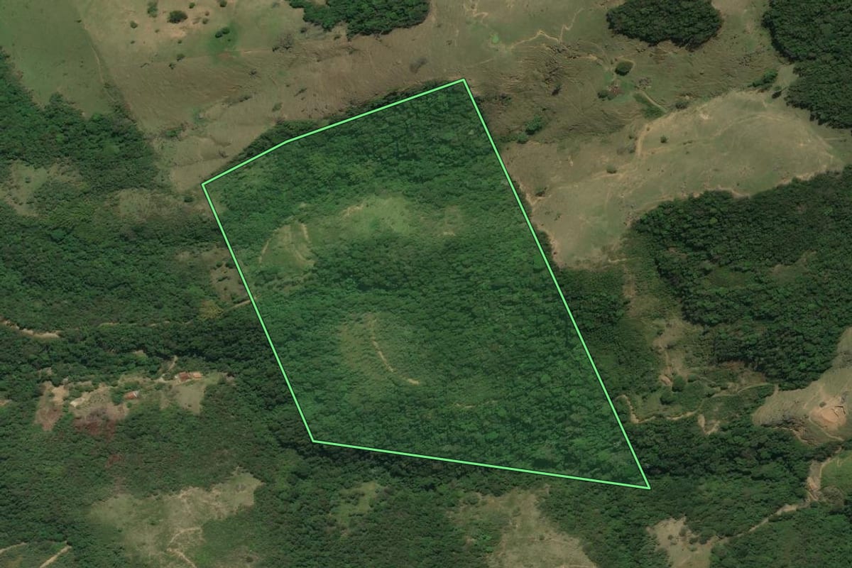 Imagem de satélite do imóvel rural em Rio Bonito (RJ), com o contorno declarado no CAR desenhado por cima.