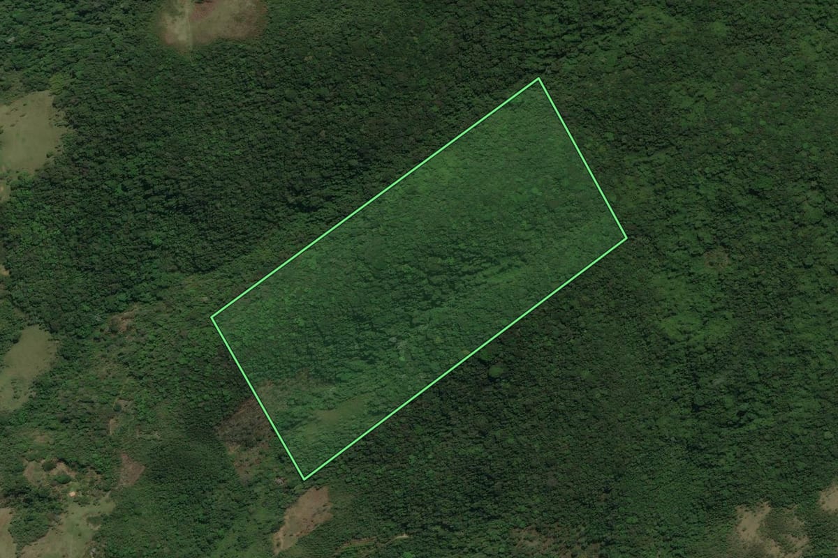 Imagem de satélite do imóvel rural em Rio Bonito (RJ), com o contorno declarado no CAR desenhado por cima.