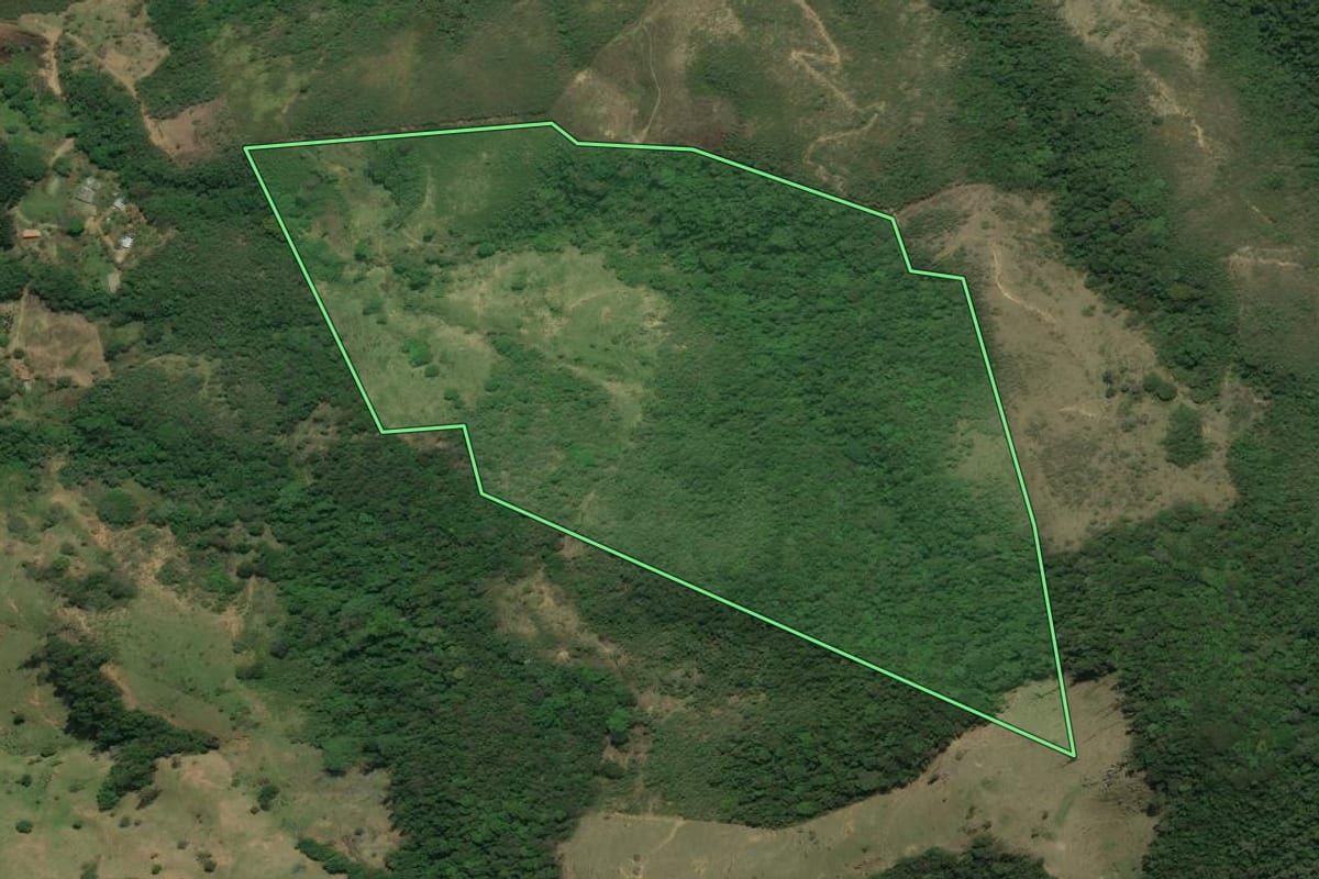 Imagem de satélite do imóvel rural em Rio Bonito (RJ), com o contorno declarado no CAR desenhado por cima.