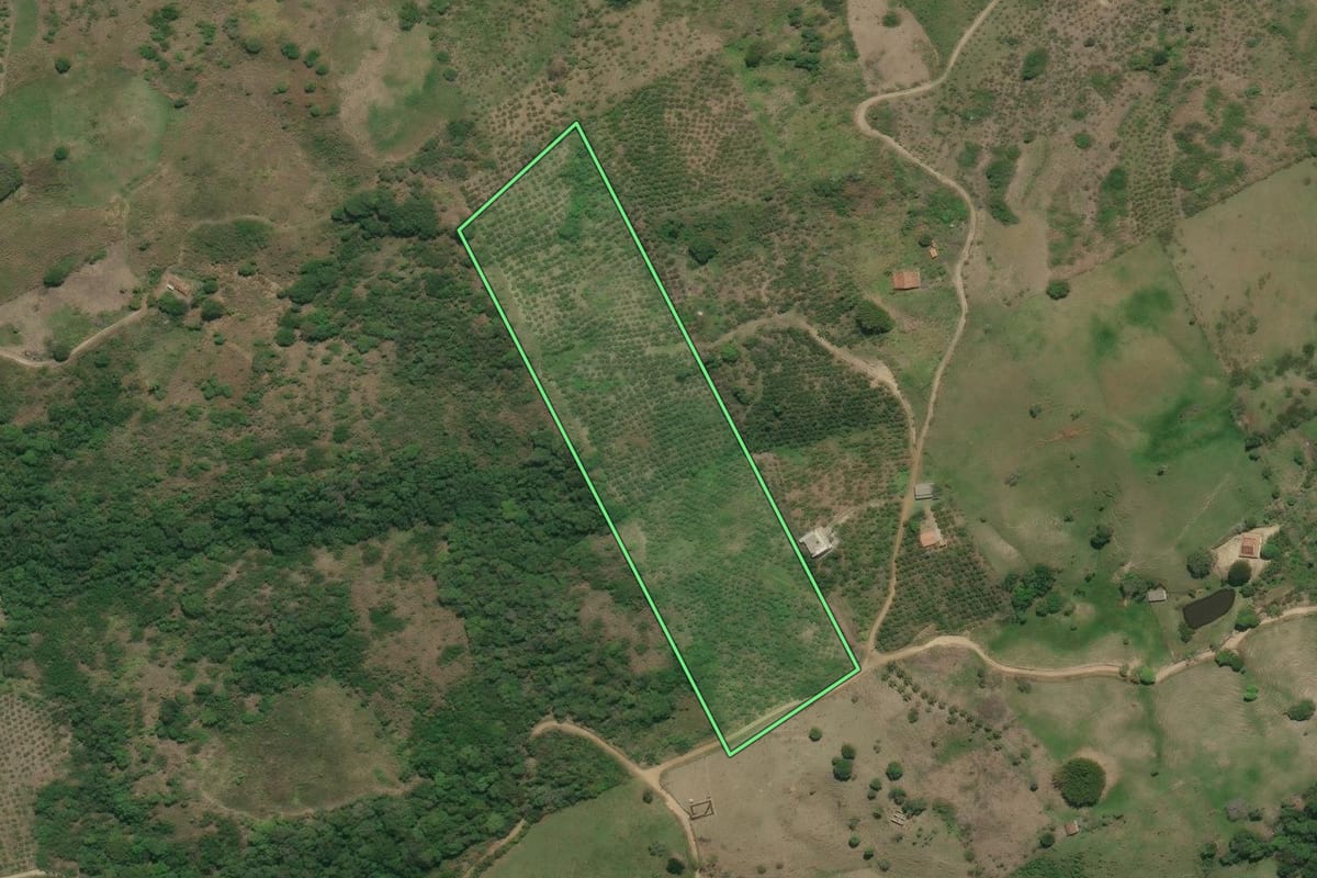 Imagem de satélite do imóvel rural em Rio Bonito (RJ), com o contorno declarado no CAR desenhado por cima.