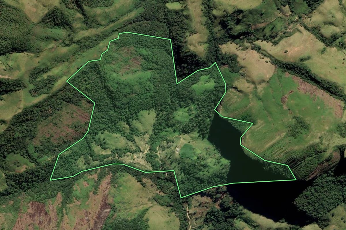 Imagem de satélite do imóvel rural em Rio Claro (RJ), com o contorno declarado no CAR desenhado por cima.