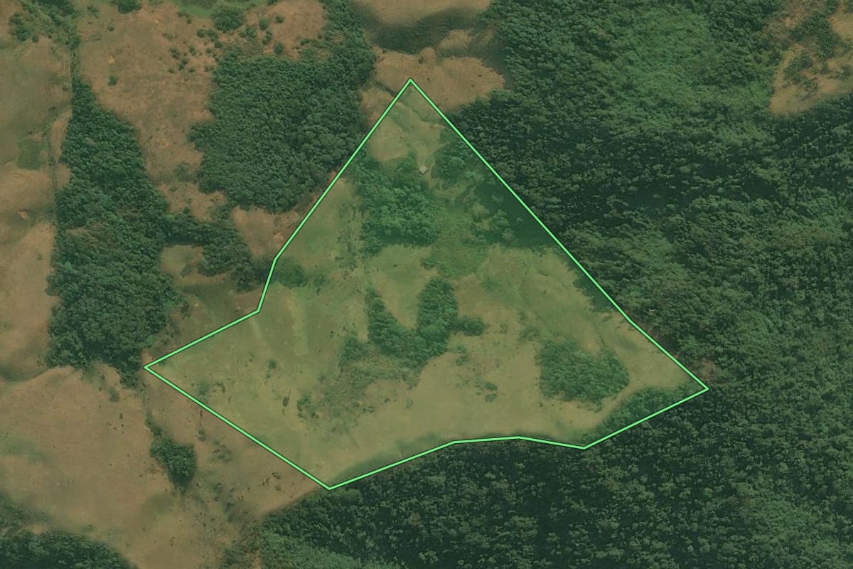 Imagem de satélite do imóvel rural em Rio Claro (RJ), com o contorno declarado no CAR desenhado por cima.