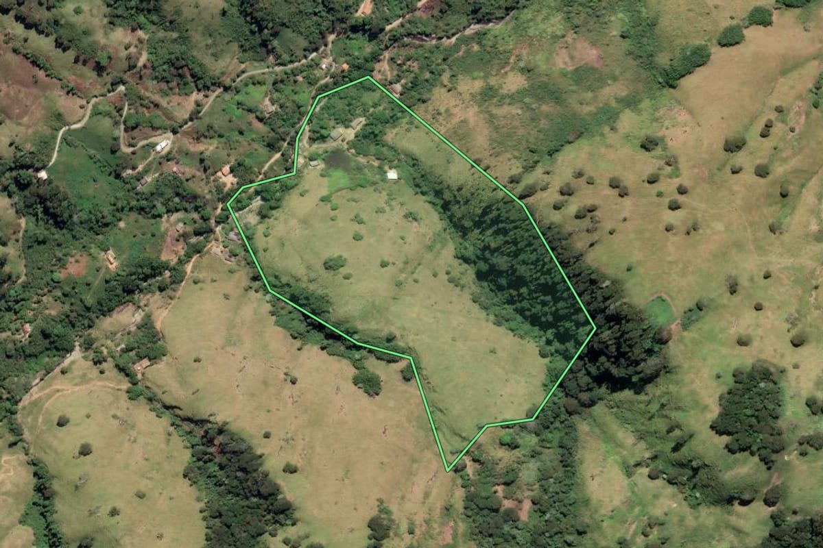 Imagem de satélite do imóvel rural em Rio Claro (RJ), com o contorno declarado no CAR desenhado por cima.