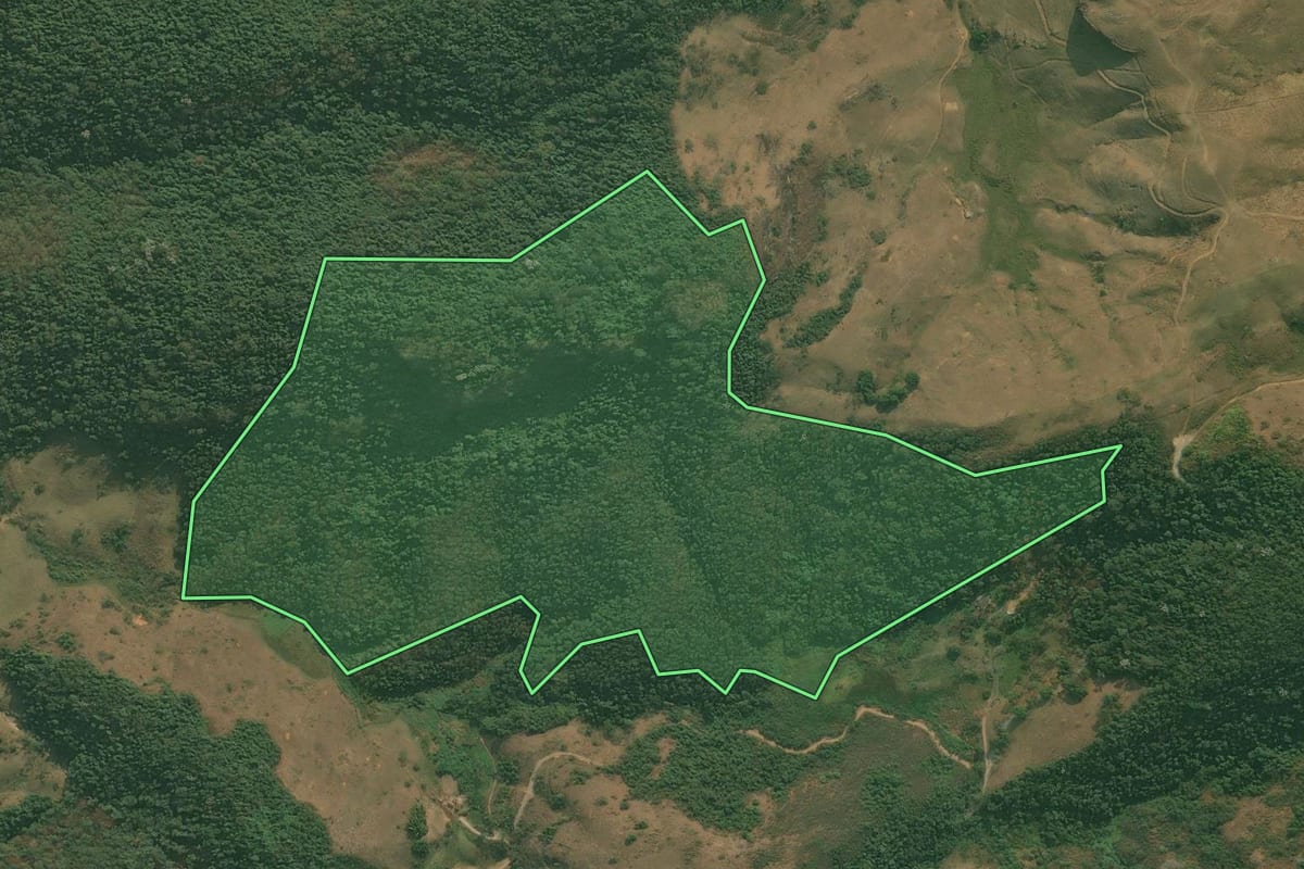 Imagem de satélite do imóvel rural em Rio Claro (RJ), com o contorno declarado no CAR desenhado por cima.
