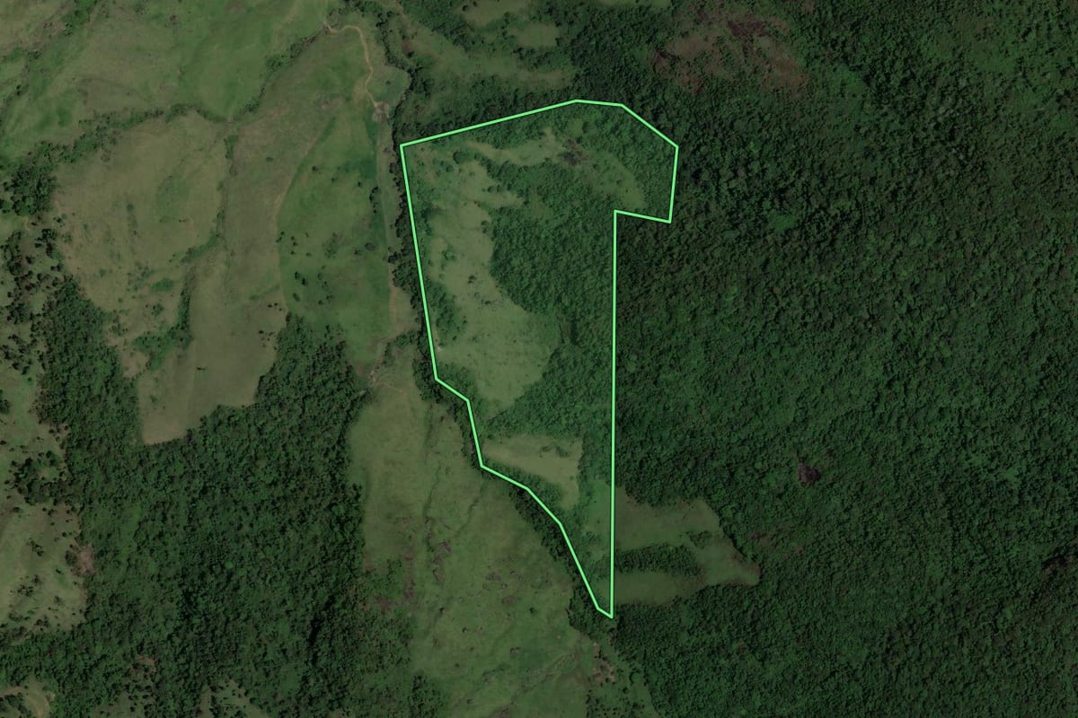 Imagem de satélite do imóvel rural em Rio Claro (RJ), com o contorno declarado no CAR desenhado por cima.