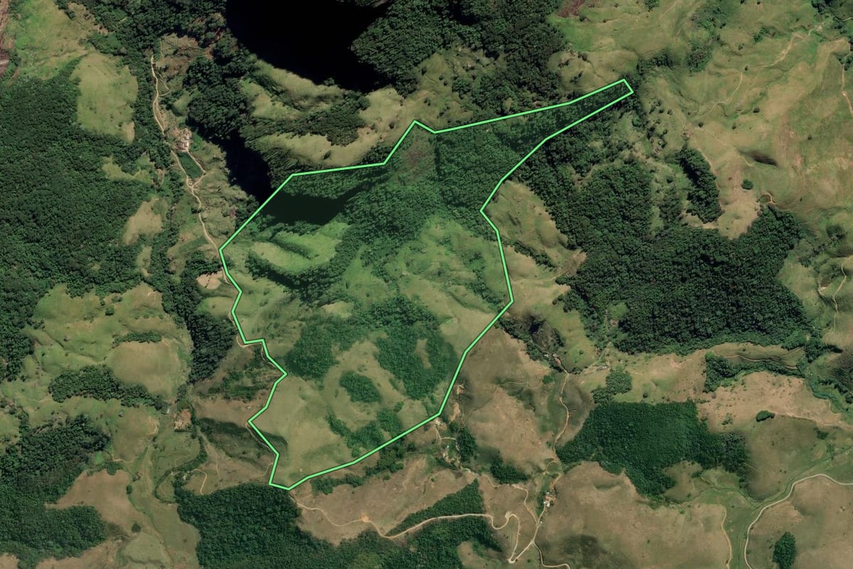 Imagem de satélite do imóvel rural em Rio Claro (RJ), com o contorno declarado no CAR desenhado por cima.