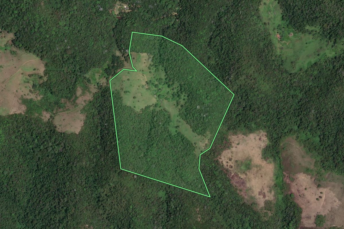 Imagem de satélite do imóvel rural em Rio Claro (RJ), com o contorno declarado no CAR desenhado por cima.