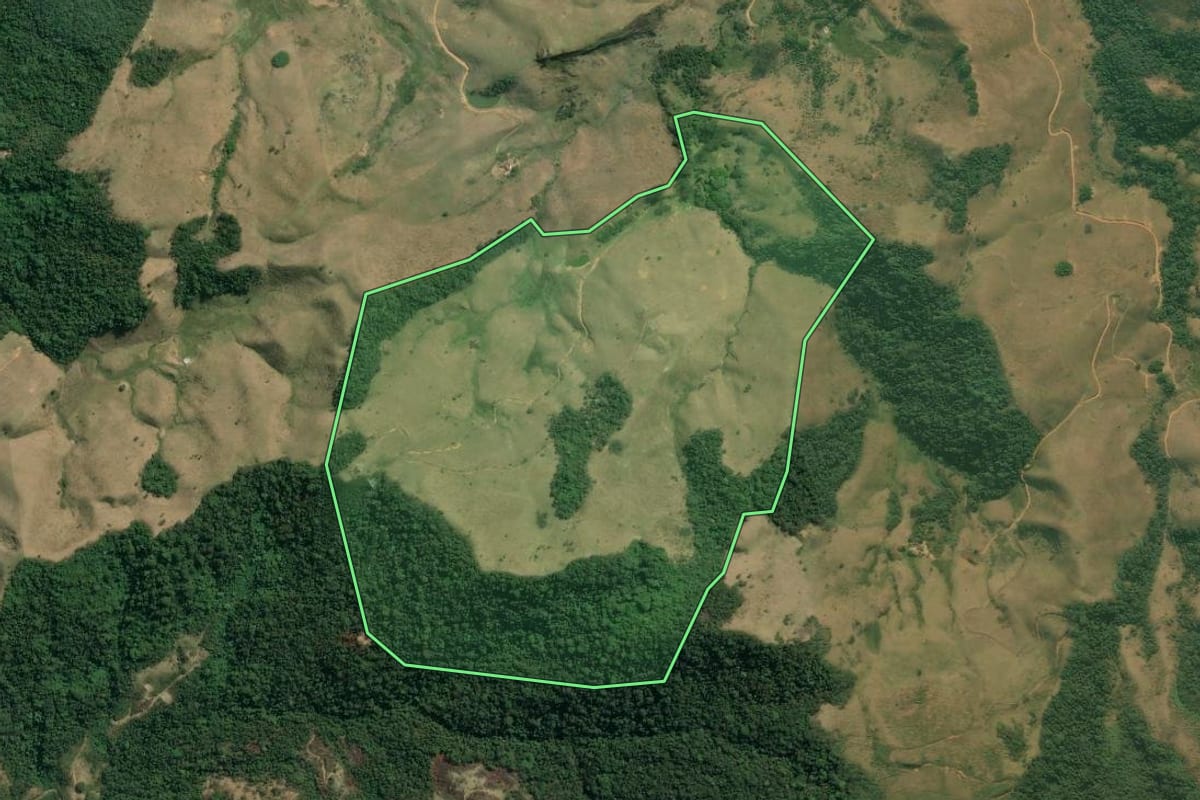 Imagem de satélite do imóvel rural em Rio Claro (RJ), com o contorno declarado no CAR desenhado por cima.