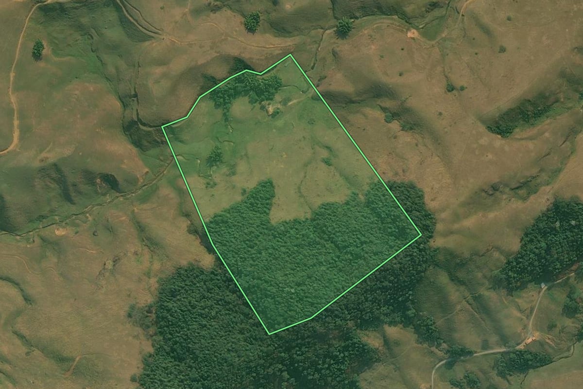 Imagem de satélite do imóvel rural em Rio Claro (RJ), com o contorno declarado no CAR desenhado por cima.