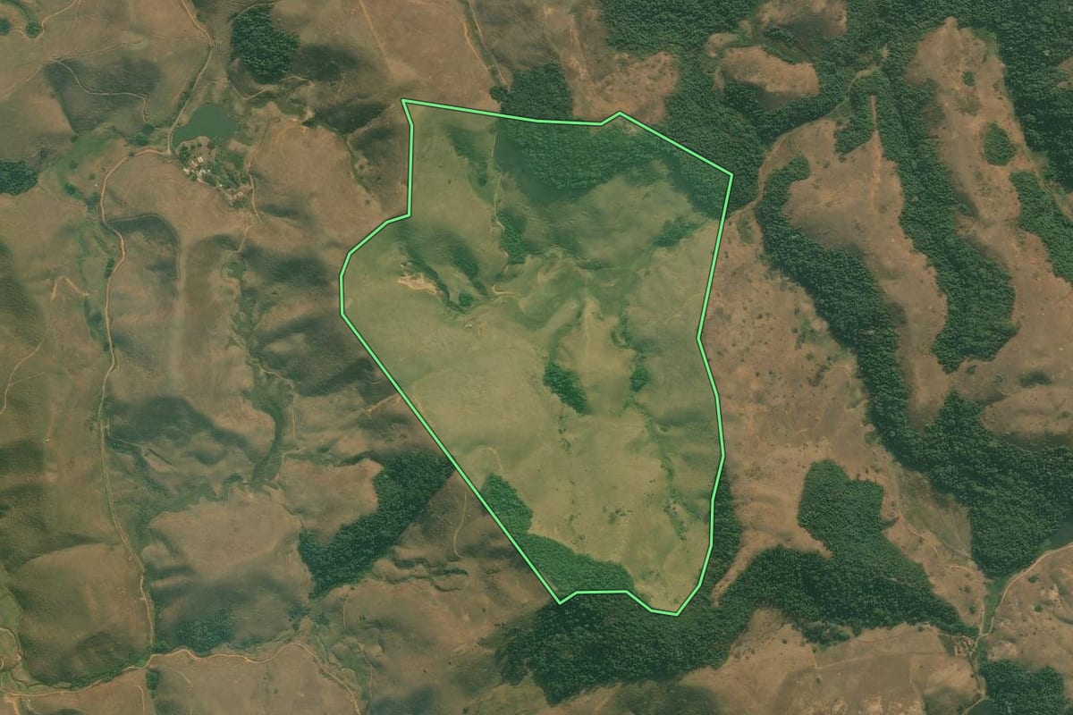 Imagem de satélite do imóvel rural em Rio Claro (RJ), com o contorno declarado no CAR desenhado por cima.