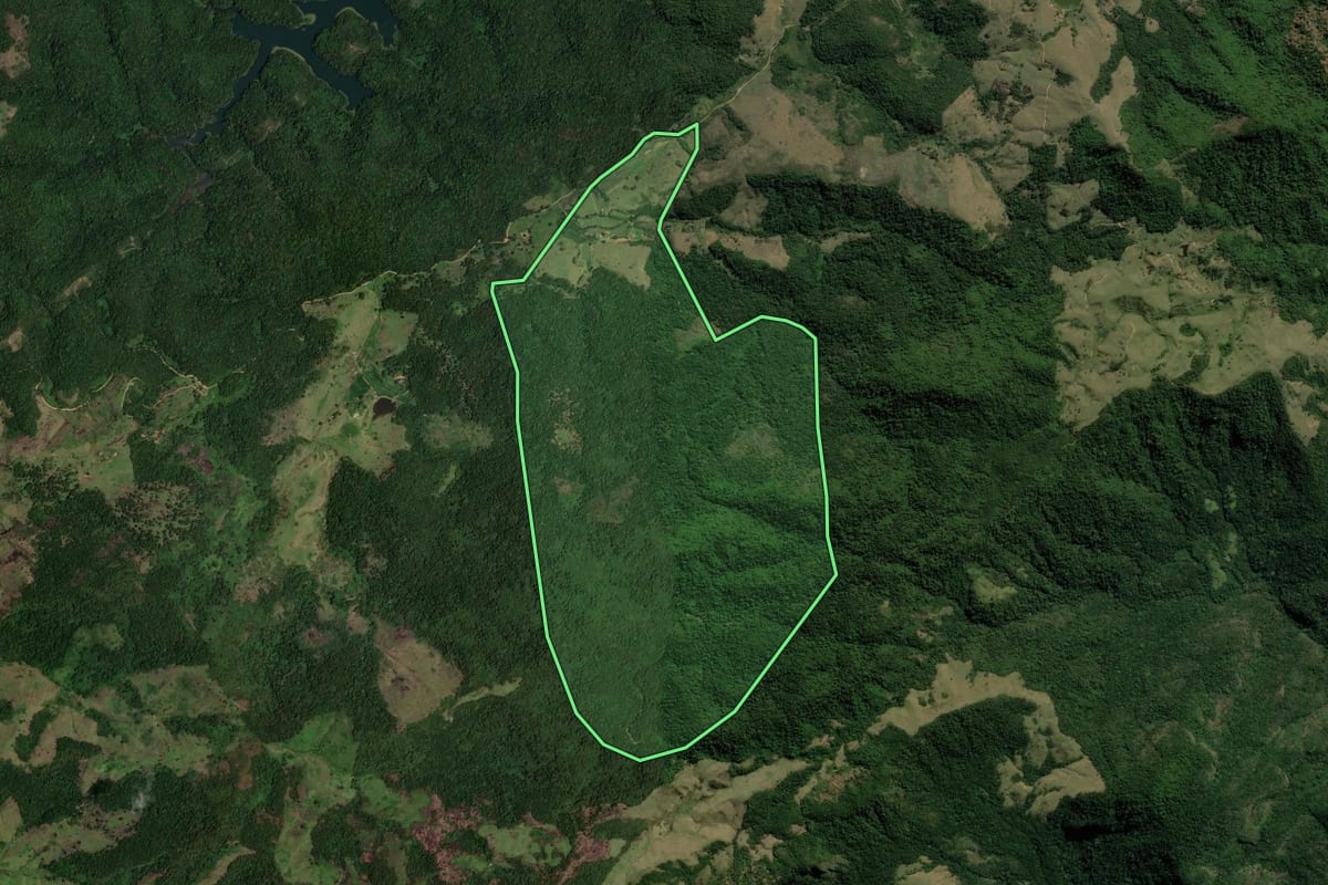 Imagem de satélite do imóvel rural em Rio Claro (RJ), com o contorno declarado no CAR desenhado por cima.