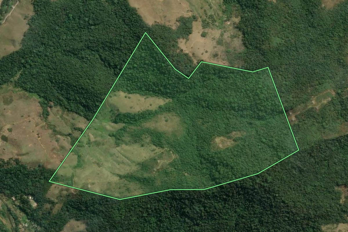 Imagem de satélite do imóvel rural em Rio Claro (RJ), com o contorno declarado no CAR desenhado por cima.