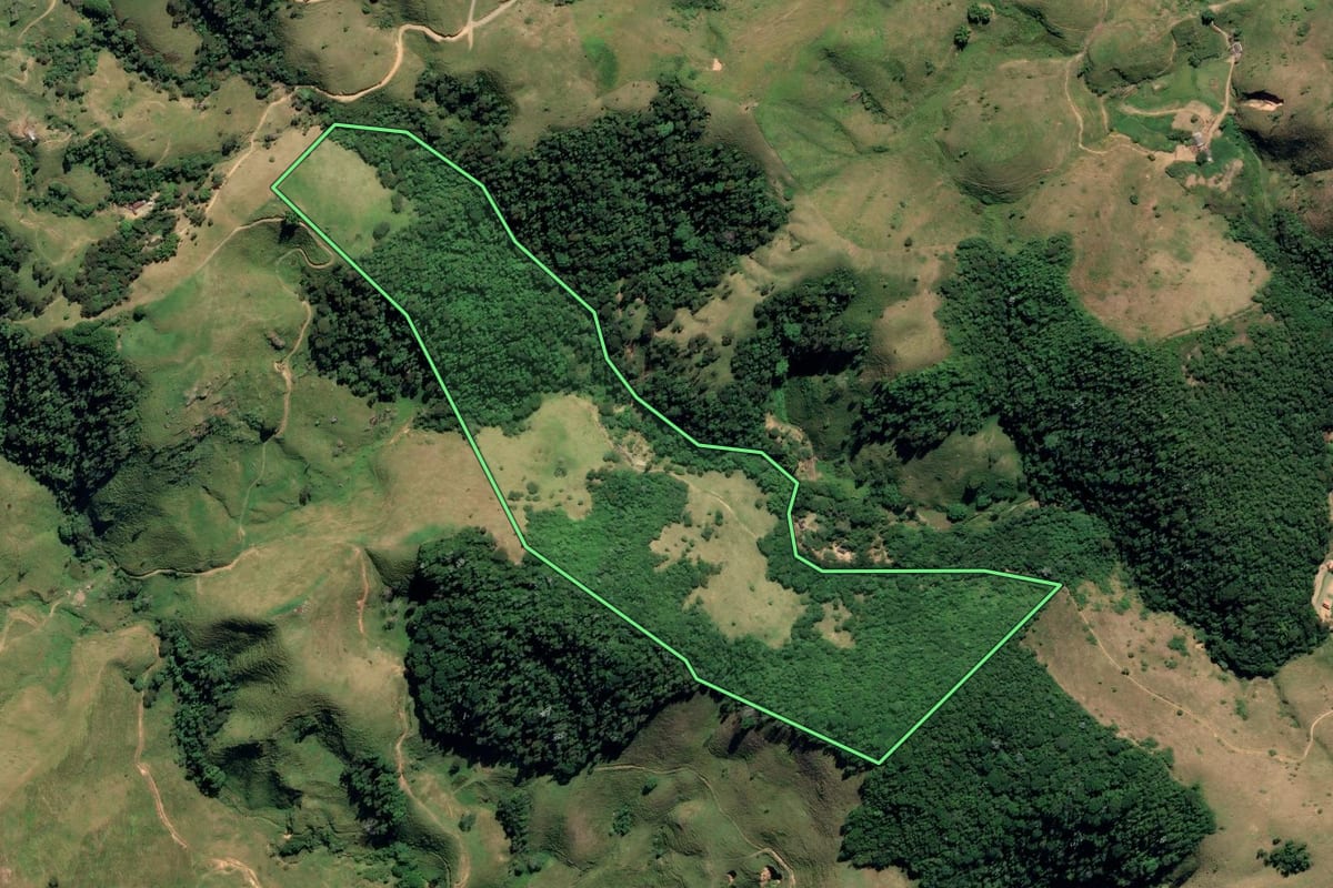 Imagem de satélite do imóvel rural em Rio Claro (RJ), com o contorno declarado no CAR desenhado por cima.