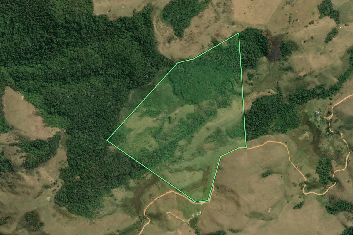 Imagem de satélite do imóvel rural em Rio Claro (RJ), com o contorno declarado no CAR desenhado por cima.