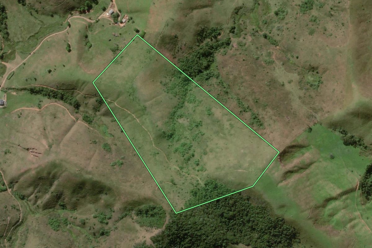 Imagem de satélite do imóvel rural em Rio das Flores (RJ), com o contorno declarado no CAR desenhado por cima.