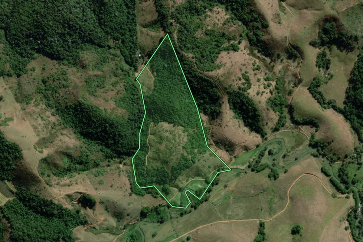 Imagem de satélite do imóvel rural em Rio das Flores (RJ), com o contorno declarado no CAR desenhado por cima.