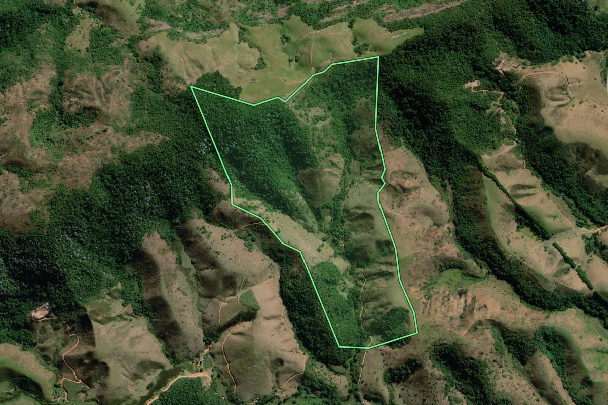Imagem de satélite do imóvel rural em Rio das Flores (RJ), com o contorno declarado no CAR desenhado por cima.