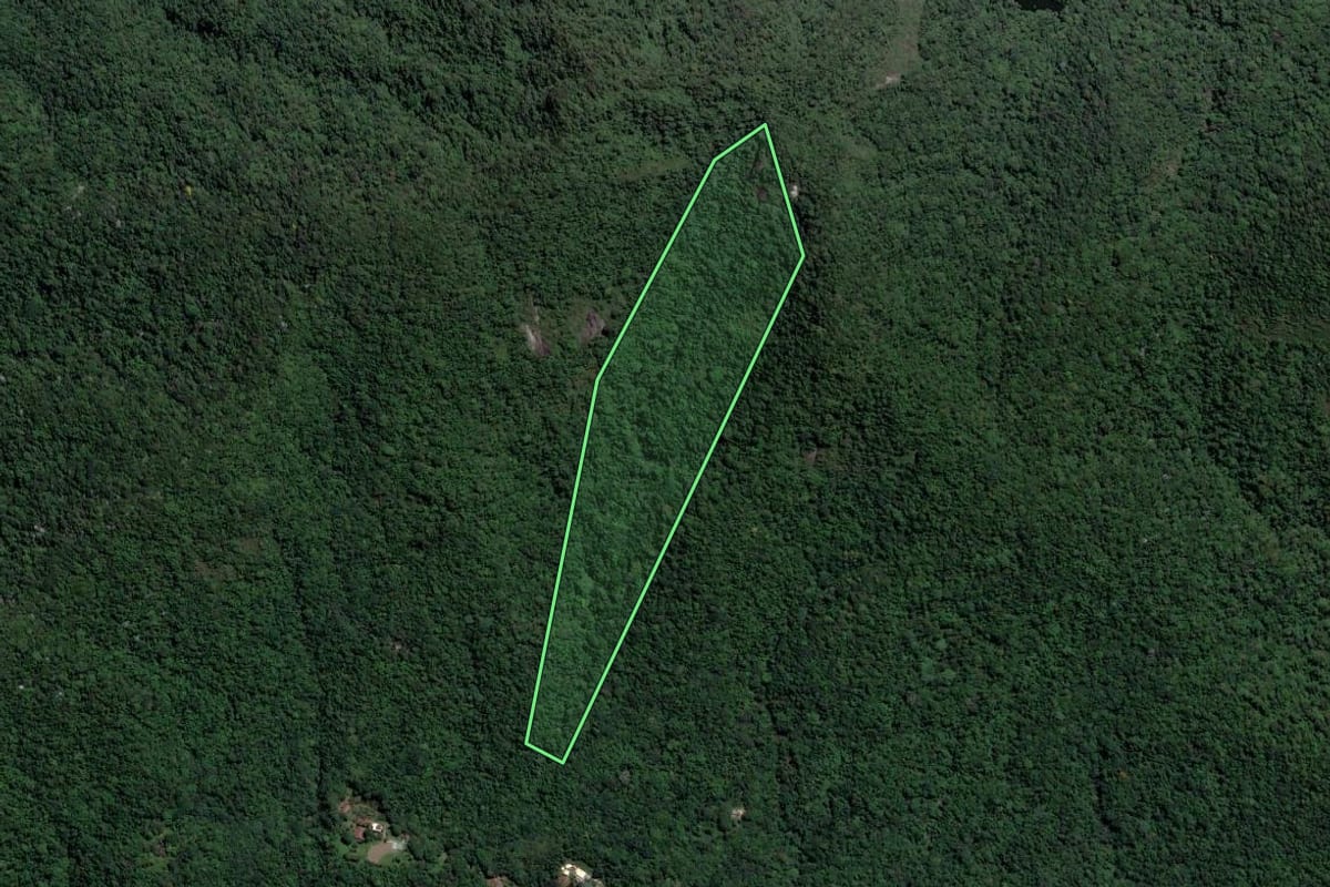 Imagem de satélite do imóvel rural em Rio de Janeiro (RJ), com o contorno declarado no CAR desenhado por cima.
