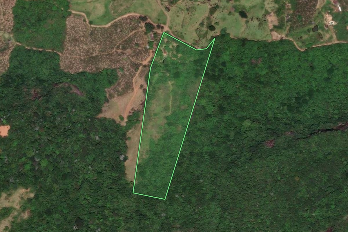 Imagem de satélite do imóvel rural em Santa Maria Madalena (RJ), com o contorno declarado no CAR desenhado por cima.