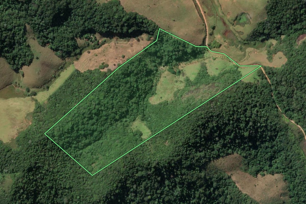 Imagem de satélite do imóvel rural em Santa Maria Madalena (RJ), com o contorno declarado no CAR desenhado por cima.