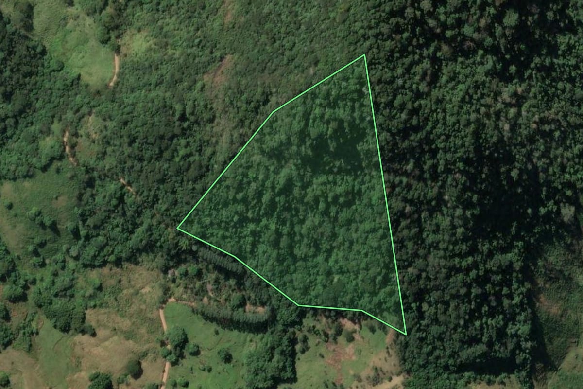 Imagem de satélite do imóvel rural em Santa Maria Madalena (RJ), com o contorno declarado no CAR desenhado por cima.