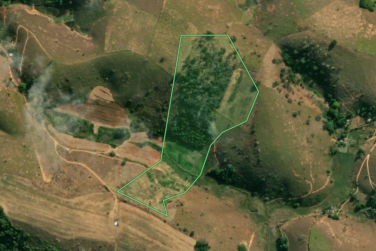 Imagem de satélite do imóvel rural em Santo Antônio de Pádua (RJ), com o contorno declarado no CAR desenhado por cima.