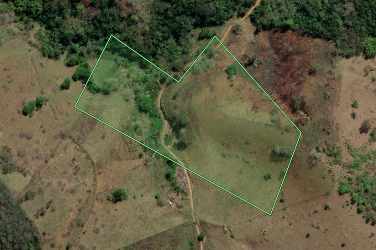 Imagem de satélite do imóvel rural em Santo Antônio de Pádua (RJ), com o contorno declarado no CAR desenhado por cima.