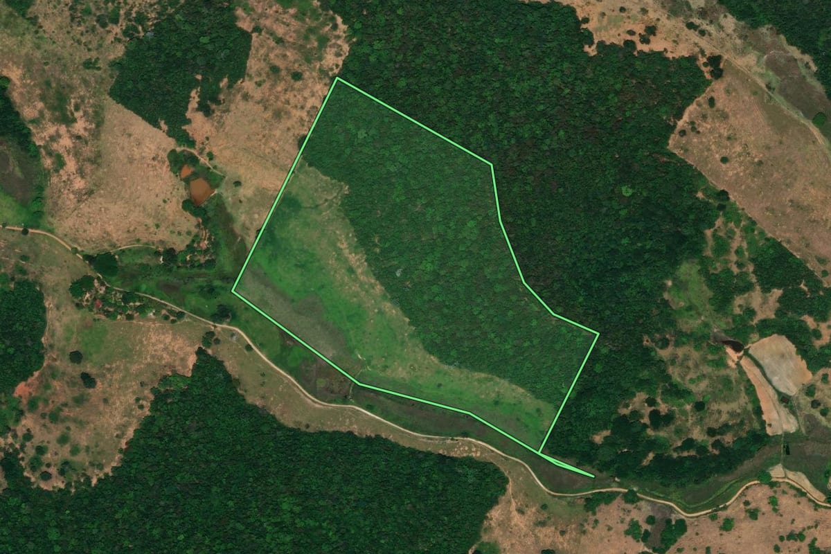 Imagem de satélite do imóvel rural em Santo Antônio de Pádua (RJ), com o contorno declarado no CAR desenhado por cima.
