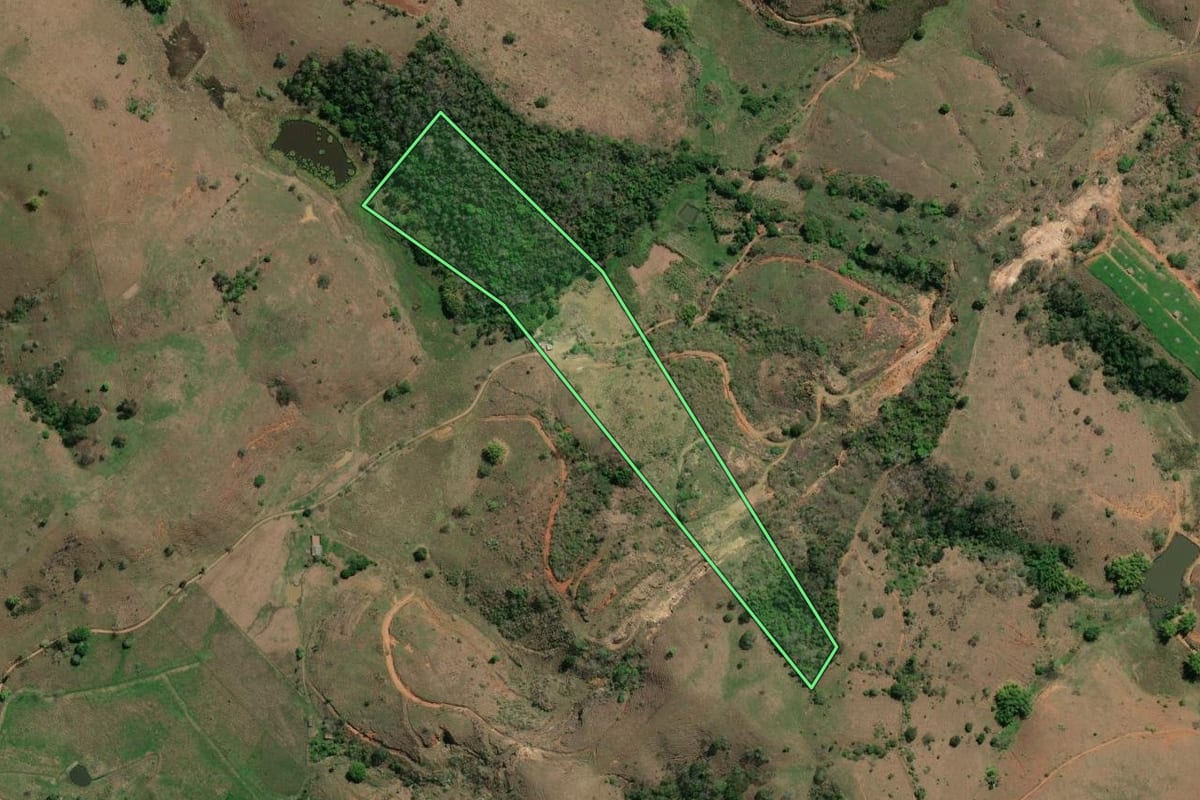 Imagem de satélite do imóvel rural em Santo Antônio de Pádua (RJ), com o contorno declarado no CAR desenhado por cima.