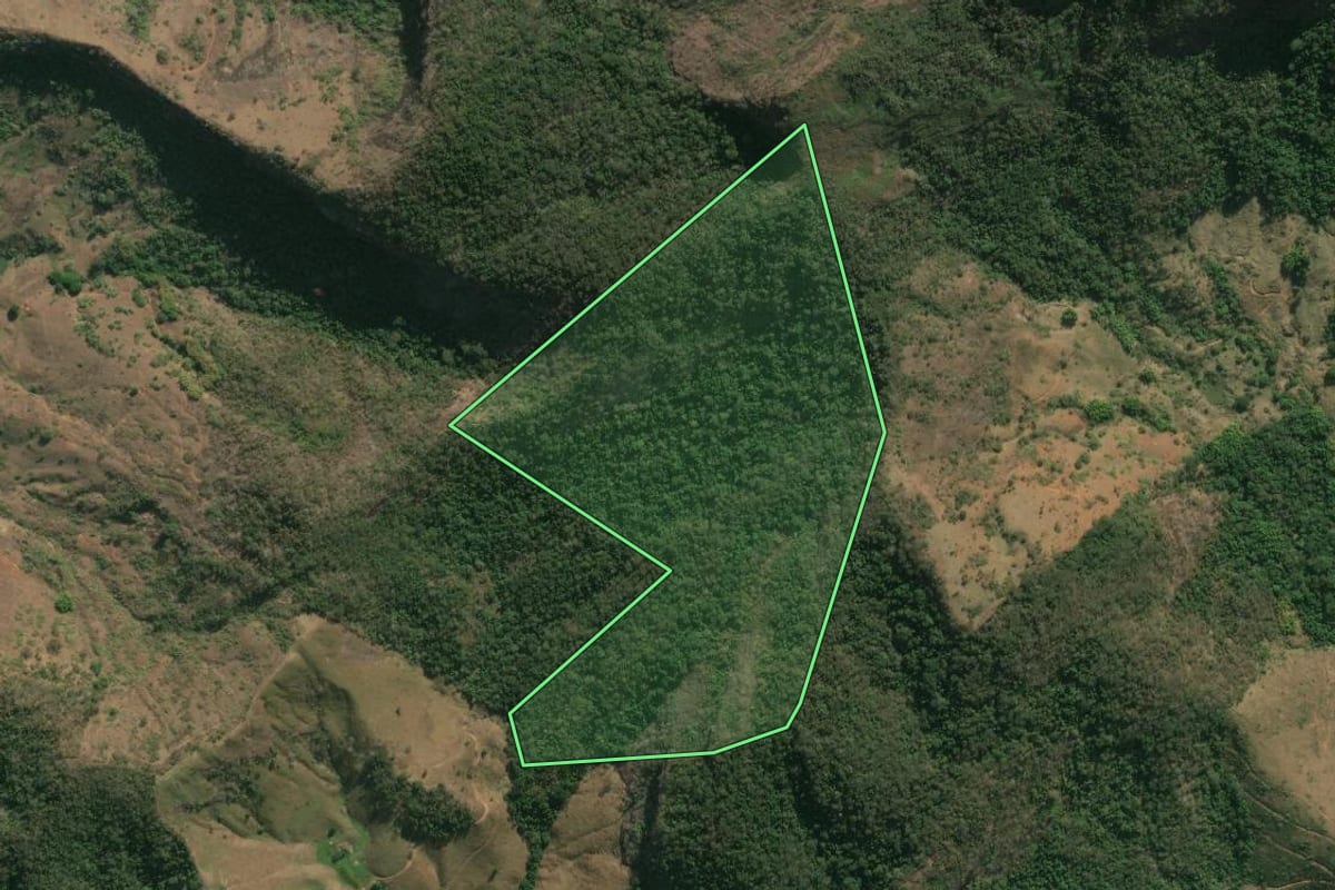 Imagem de satélite do imóvel rural em Santo Antônio de Pádua (RJ), com o contorno declarado no CAR desenhado por cima.